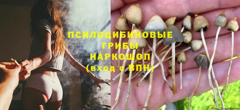 Галлюциногенные грибы Magic Shrooms  ОМГ ОМГ ссылка  Называевск  закладка 